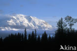 Denali National Park