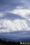 Denali National Park