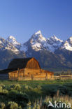 Grand Teton National Park