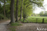 Landgoed De Duinen