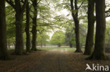 Landgoed De Klencke