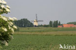 Molen van Batenburg