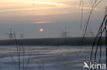 Windmills