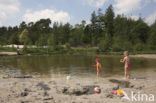 Nationaal Park de Maasduinen