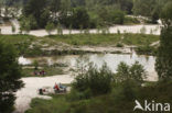 Nationaal Park de Maasduinen