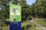 Nationaal Park de Maasduinen