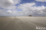 National Park Schiermonnikoog