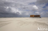 National Park Schiermonnikoog