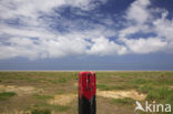 National Park Schiermonnikoog