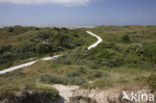 National Park Schiermonnikoog