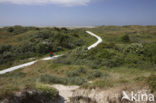 Nationaal park Schiermonnikoog