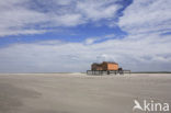 National Park Schiermonnikoog