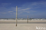 National Park Schiermonnikoog