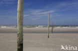 National Park Schiermonnikoog