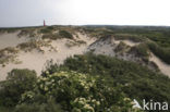 Nationaal park Schiermonnikoog