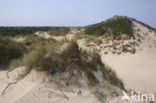 Nationaal park Schiermonnikoog