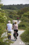 National Park Schiermonnikoog