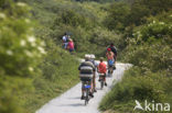 Nationaal park Schiermonnikoog