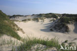 Nationaal park Schiermonnikoog