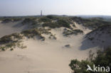 Nationaal park Schiermonnikoog