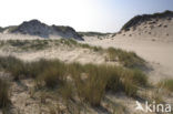 Nationaal park Schiermonnikoog