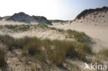 Nationaal park Schiermonnikoog