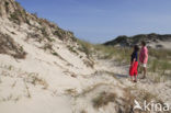 Nationaal park Schiermonnikoog