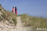 National Park Schiermonnikoog