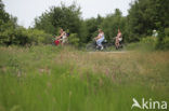 National Park Schiermonnikoog