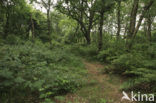 Nationaal park Schiermonnikoog