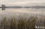 Nationaal Park Weerribben-Wieden