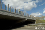 Wildlife crossing Het Groene Woud