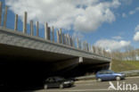 Wildlife crossing Het Groene Woud