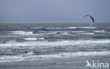 Noordzee