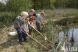 Norger Esdorpenlandschap