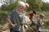 Norger Esdorpenlandschap