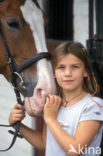 Horse (Equus spp)