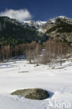 Vanoise National Park