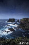 Shetland eilanden