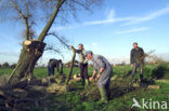 Vlaanderen