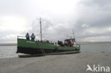 Waddenzee