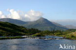 Connemara National Park