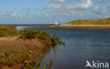 Duinen van Goeree