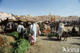 Ghardaia