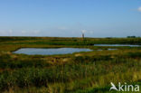 Kekerdommerwaard