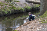 Landgoed Leuvenhorst