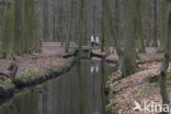 Landgoed Leuvenhorst