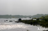 Lough Corrib