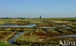 National Park Oosterschelde