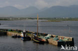 Roundstone